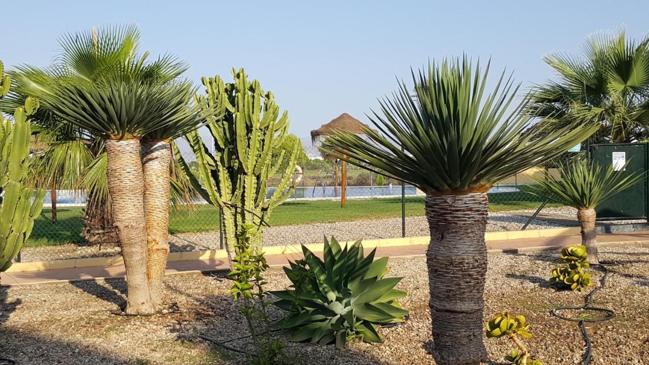 Apartments Sol De Almeria Golf Y Playa Retamar  Luaran gambar